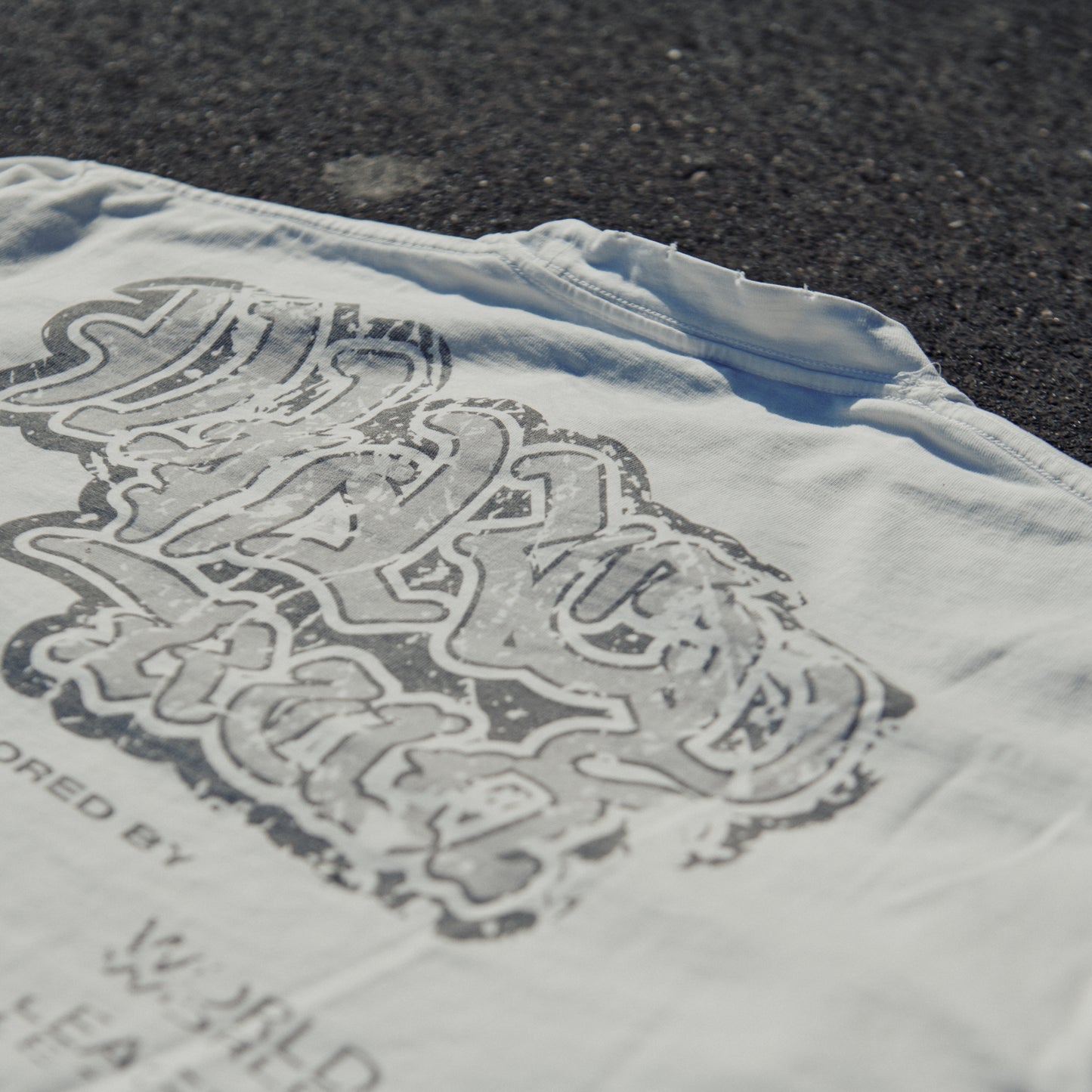 WLRY COMMUNITY LONG SLEEVE WHITE